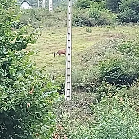 Apartamento Chez Eric Et Isabelle *