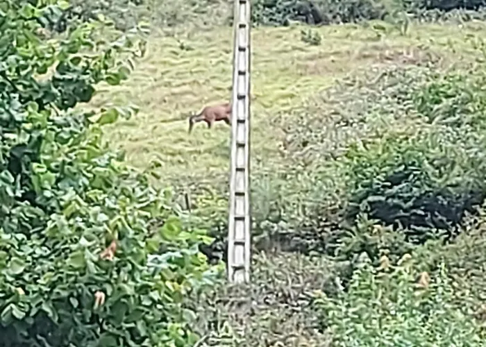 Apartman Chez Eric Et Isabelle *